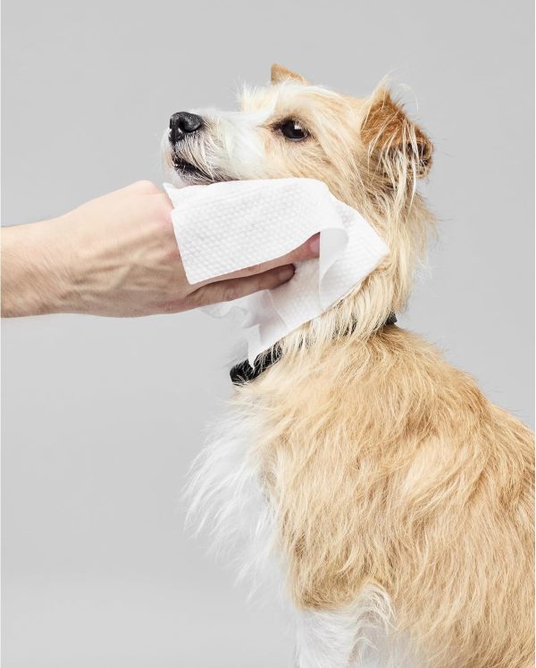 Fragrance Free Wipes, Gentle Multi-Purpose Cleansing Towelettes - Image 5